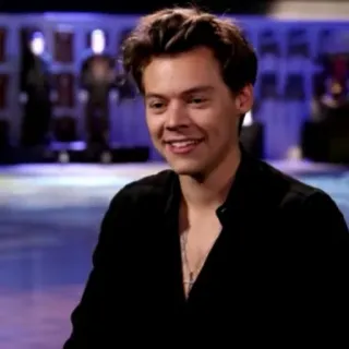 🌸 Harry Styles musicien, chanteur, Harry Styles, célébrité telegram sticker