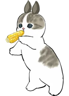 🌽 cat, rabbit, corn, cute, animal, food telegram sticker