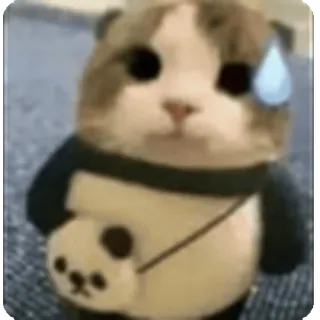 😅