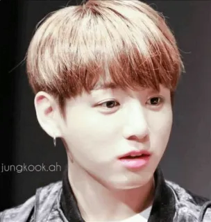 😀 Jungkook jungkook.ah k-pop, zanger, beroemdheid, persoon, portret telegram sticker