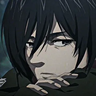 ❕ Mikasa Ackerman Attack on Titan 动漫, 进击的巨人, 三笠·阿克曼, 悲伤, 调查兵团, 战争 telegram sticker