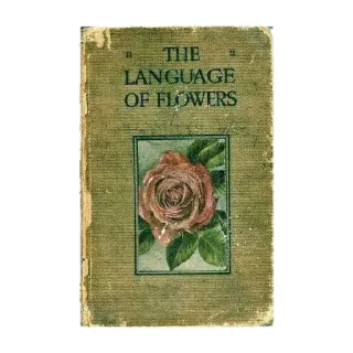 🤩 The Language of Flowers THE LANGUAGE OF FLOWERS fleurs, livre, vintage, rose, floral, langue, littérature telegram sticker