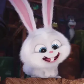 🐰 Snowball The Secret Life of Pets 兔子, 动物, 宠物, 可爱, 卡通, 动画, 兔 telegram sticker
