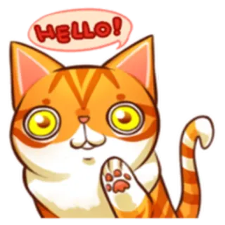 🙂 HELLO! kat, dier, hallo, groet, schattig, oranje, vriendelijk telegram sticker