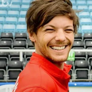 😄 Louis Tomlinson Louis Tomlinson, chanteur, One Direction, célébrité, personne, musicien telegram sticker