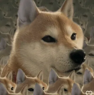 😏 doge doge, dog, meme, shiba inu, internet meme, animal, pet telegram sticker