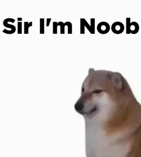 🎭 Cheems Doge meme Sir I'm Noob whatsapp sticker