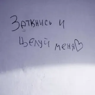 💋 Заткнись и 
Целуй меня whatsapp sticker