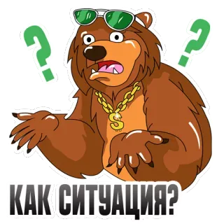 ❓ КАК СИТУАЦИЯ? медведь, вопрос, солнцезащитные очки, цепь, стикер whatsapp sticker