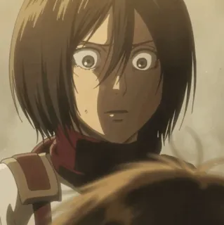 ❤️ Mikasa Ackerman Attack on Titan อนิเมะ, ตัวละคร, ตกใจ, มิคาสะ, ผ่าพิภพไททัน whatsapp sticker