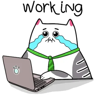 😭 Working แมว, ทำงาน, แล็ปท็อป, ร้องไห้, เศร้า, สำนักงาน, งาน telegram sticker