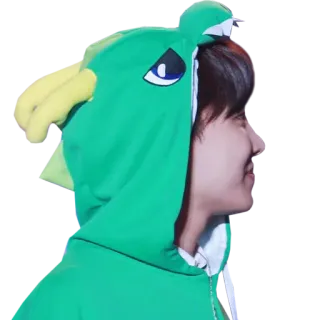 😊 persona, verde, felpa con cappuccio, drago, cosplay, costume whatsapp sticker