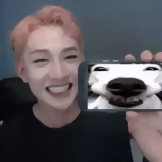 🎠 personne, chien, selfie, téléphone, portrait telegram sticker