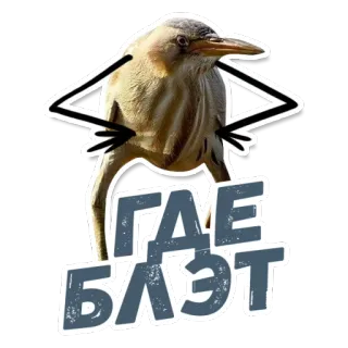 ТАК БЛЭТ @StikeryTG telegram stickers