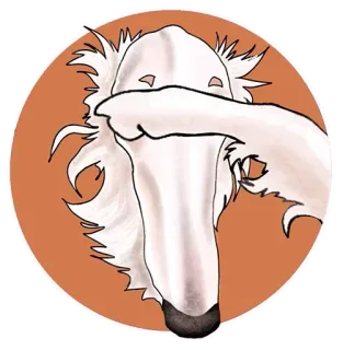 😑 chien, barzoï, animal, mème telegram sticker