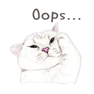 😨 고양이, 가운데 손가락, 모욕적, 동물, 스티커 telegram sticker