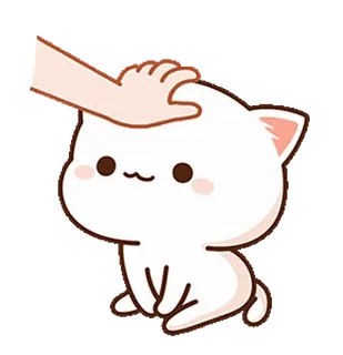 ❤️ chat, animal de compagnie, animal, mignon, chaton, kawaii, main, caresse whatsapp sticker