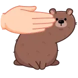 🤩 bear, cartoon, pet, cute, animal, hand telegram sticker