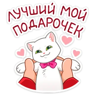 😻 ЛУЧШИЙ МОЙ ПОДАРОЧЕК gato, lindo, corazón, animal, mascota, regalo whatsapp sticker