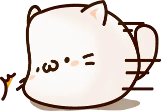 😎 kucing, binatang, imut, stiker, kawaii telegram sticker