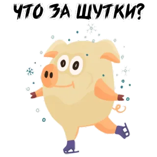 😆 ЧТО ЗА ШУТКИ? 돼지, 피겨 스케이팅, 겨울, 동물, 만화, 웃긴, 유머 whatsapp sticker