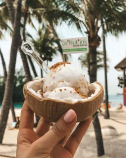 🍨 Co*Nut*Ink Eis, Kokosnuss, Dessert, Essen whatsapp sticker
