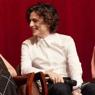 📯 Timothée Chalamet acteur, homme, célébrité, cheveux bouclés, chemise blanche telegram sticker