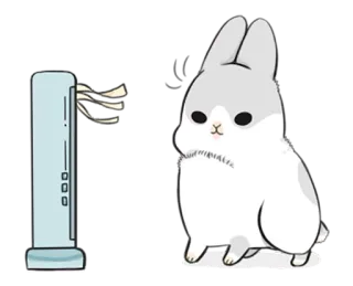 😊 conejo, conejito, fan, lindo, animal, dibujos animados, pegatina telegram sticker
