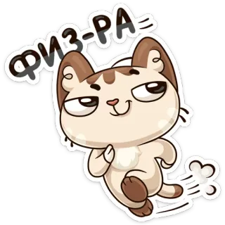 🏂 Физ-ра chat, animal, russe, exercice, dessin animé telegram sticker