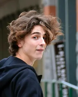 🦇 Timothée Chalamet actor, celebridad, Timothée Chalamet, persona telegram sticker