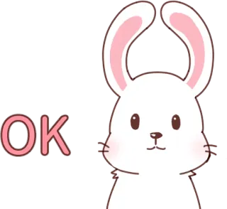 👌 OK conejo, ok, animal, lindo whatsapp sticker