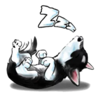 😴 ZZZ chó, buồn ngủ, zzz, hoạt hình, động vật, thú cưng telegram sticker