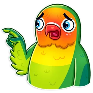 😟 새, 앵무새, 사랑앵무, 귀여운, 만화, 이모티콘 telegram sticker