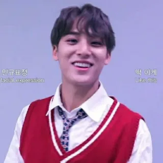 💎 민규표정
facial expression
딱 이렇게
Like this coreano, espressione, sorridente whatsapp sticker