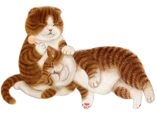 🥰 고양이, 새끼고양이, 동물, 자는, 귀여운, 사탕 telegram sticker