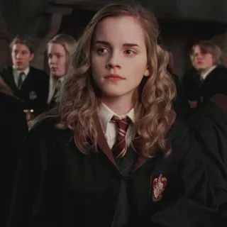 🦋 Hermione Granger Harry Potter student, magia, książki, szkoła, Gryffindor whatsapp sticker