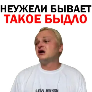 🙄 НЕУЖЕЛИ БЫВАЕТ ТАКОЕ БЫДЛО crying, person, meme, sad telegram sticker