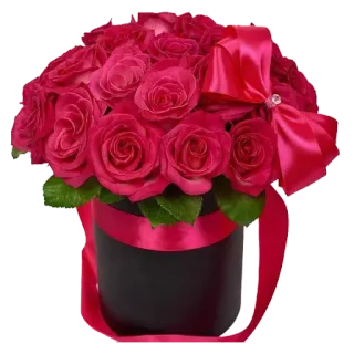 💐 กุหลาบ, ช่อดอกไม้, ดอกไม้, ของขวัญ, การจัดดอกไม้, กุหลาบสีชมพู, ตกแต่ง whatsapp sticker