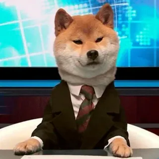 😎 Doge doge, shiba inu, chien, mème, costume, actualités, journaliste telegram sticker