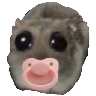🍼 Sad hamster hamster, sad, baby, pacifier, cute, meme, animal telegram sticker