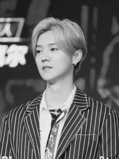 🌊 Lu Han portrait, celebrity, singer, actor, Asian telegram sticker