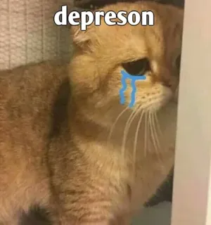 🥲 depreson 고양이, 슬픔, 눈물, 우울증, 동물, 애완동물, 밈 telegram sticker