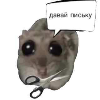 ☺ давай письку 햄스터, 가위, 동물, 불쾌한, 텍스트, 자르다 whatsapp sticker