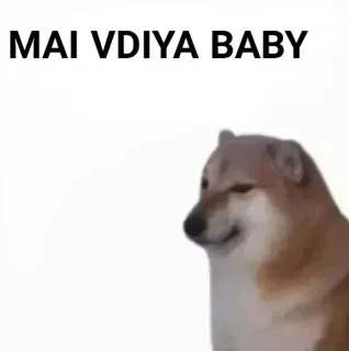 ✨ MAI VDIYA BABY telegram sticker