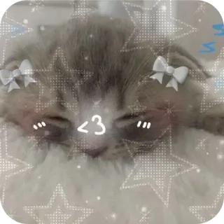 🐱 <3 kitten, cat, cute, animal, pet, sleeping, kawaii telegram sticker