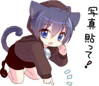 📷 写真貼って! Catgirl, Anime, Chibi, Dễ thương, Kawaii whatsapp sticker