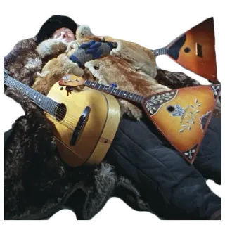 😴 man, sleeping, fur, guitar, balalaika, musical instrument, Russian telegram sticker