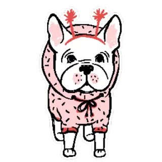 🐶 perro, bulldog francés, animal, mascota, lindo, dibujo animado, pegatina, rosa telegram sticker
