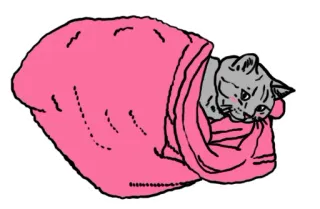 😴 Katze, Decke, Tier, Haustier, süß, kuschelig telegram sticker