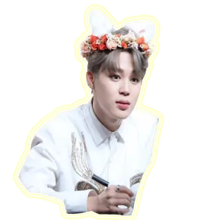 😳 kpop, idol, couronne de fleurs, oreilles de lapin telegram sticker
